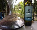 Foto del paso 5 de la receta: Cerdo al Malbec con papas doradas en finas hierbas