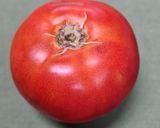 Foto del paso 3 de la receta: 118. Ensalada de Tomate y Mozzarella