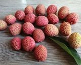 Une image de l'étape 1 de Jus🍹 litchi 🌴.
