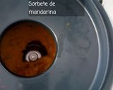 Foto del paso 3 de la receta Sorbete de Mandarina sin Azúcar de Paufeel