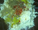 A picture of step 3 of Kosan doya.