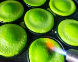 Foto langkah ke 5 dari resep Kue Lumpur Bakar Pandan.