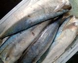 Foto langkah ke 1 dari resep Ikan Salem Bumbu Sarden.