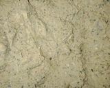 A picture of step 6 of Frozen shami kabab.