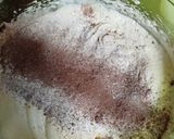 Foto langkah ke 1 dari resep Bolu Kukus Red Velvet.