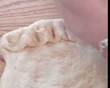 Foto del paso 7 de la receta: Pan trenzado o Pan Jalá