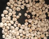 A picture of step 1 of Makhana Kaju Curry.