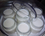Foto del paso 2 de la receta: Bolitas de queso labneh