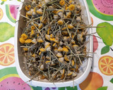 Foto del paso 2 de la receta: Flores de manzanilla de mahón desecadas