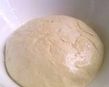 Pizza Series - The Pizza Dough recipe step 10 photo