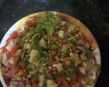 चना मूंग की सलाद(CHANA MOONG KI SALAD RECIPE IN HINDI) रेसिपी चरण 3 फोटो
