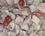 A picture of step 3 of Beef Pulao.