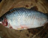 Hình bước làm 1 của món Cá chiên giòn