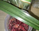 Foto langkah ke 1 dari resep Sirup Rosella Pandan.