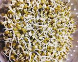 मूंग स्प्राउट (Moong sprout recipe in Hindi) रेसिपी चरण 4 फोटो