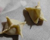 Foto del passaggio 6 della ricetta Wonton