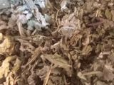 جوشونده نبات لیمو پونه