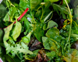Foto del paso 1 de la receta: Ensalada de brotes con salsa rosa