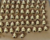 Foto langkah ke 6 dari resep Doggy Cookies.