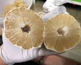 柚子料理-柚子醬（附錄柚子皮處理）的食譜步驟1照片