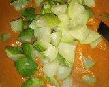 Foto del paso 8 de la receta: Pipián rojo con carne de puerco y chilacayote