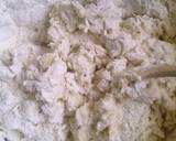Pizza Series - The Pizza Dough recipe step 6 photo