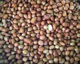 Foto langkah ke 1 dari resep Bumbu Kacang Untuk Cilok.