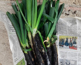 Foto del paso 5 de la receta: Calçot