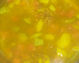 Foto del paso 6 de la receta: Potaje de lentejas y verduras