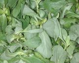 A picture of step 1 of Kulfay ka Saag aur Chicken.