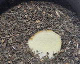 Foto del paso 3 de la receta: Te de menta y jengibre