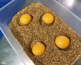Une image de l'étape 3 de Jaunes d'œufs panés salade feuille de chêne.