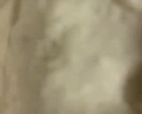 A picture of step 7 of Pizza Dough (Foolproof detail recipe).