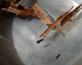 Foto del paso 1 de la receta: Cóctel de té negro con especias y naranja