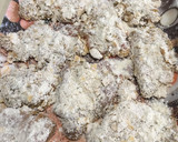 Foto del paso 11 de la receta: Muslos de Pollo al Panko (fritos y al horno)