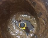 A picture of step 2 of Prunes milkshake.