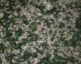 Foto del paso 7 de la receta: Tarta de Espinaca, rica Fácil y económica a mi manera