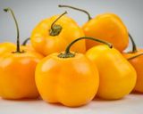 Foto del paso 1 de la receta: Salsa de chile manzano/color naranja