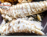 Foto del paso 3 de la receta: Dorada a la sal