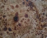 A picture of step 4 of Aloo ka paratha.