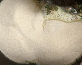 A picture of step 2 of Instant Rava Idli.