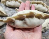 Foto del paso 14 de la receta: ⏳ Batch cooking 1: relleno de empanadas de pollo, de carne picada y relleno de pastel de papa ⏳