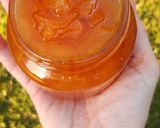 Foto del paso 4 de la receta: Chutney de durazno y una infiltrada