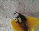 Foto del paso 1 de la receta: Salsa de mango y aguacate🥭🥑🍋‍🟩
