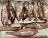 Foto del passaggio 5 della ricetta Calamari ripieni al forno