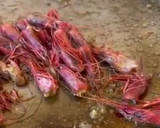 Foto del paso 4 de la receta: Fideos rosejats de gamba roja