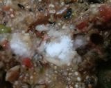 बैंगन का भरता (baingan ka bharta recipe in Hindi) रेसिपी चरण 5 फोटो