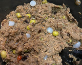 Foto del paso 5 de la receta: Relleno navideño