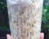 Hình bước làm 2 của món Làm GIÁ sạch tại nhà