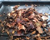 Foto del paso 3 de la receta: Té (zanahoria/manzana)